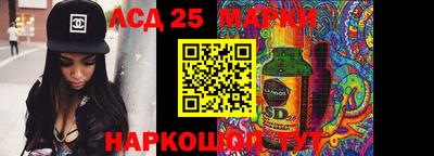 ешки Сланцы