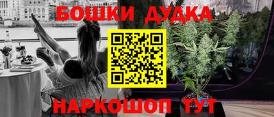 apvp Славгород